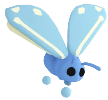 MFR Glacier Moth