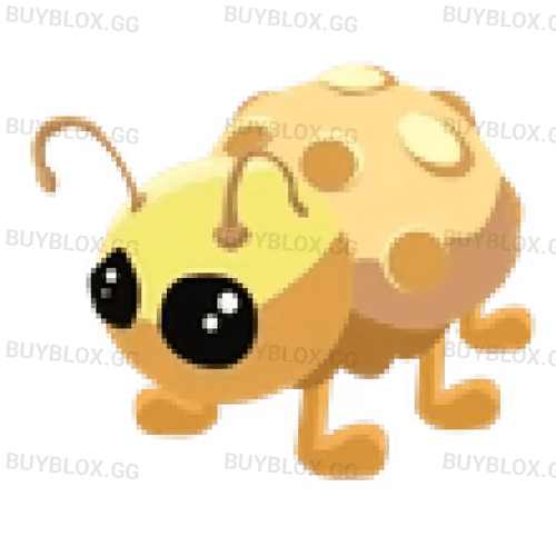MFR Golden Ladybug