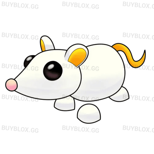 MFR Golden Rat