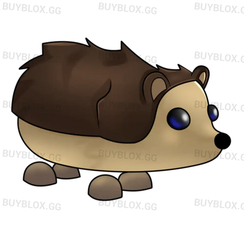 MFR Hedgehog
