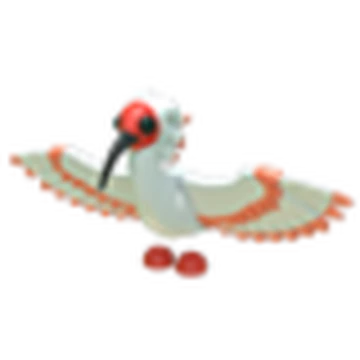 Ibis