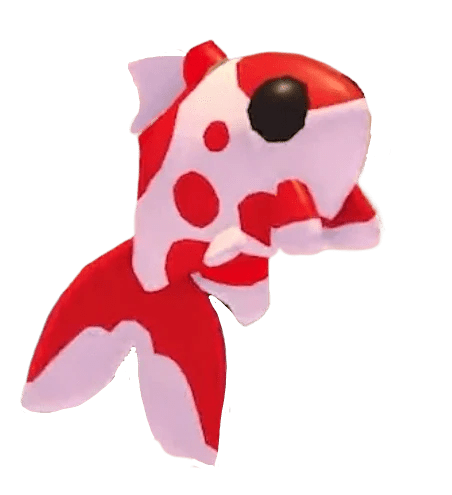 MFR Koi Carp