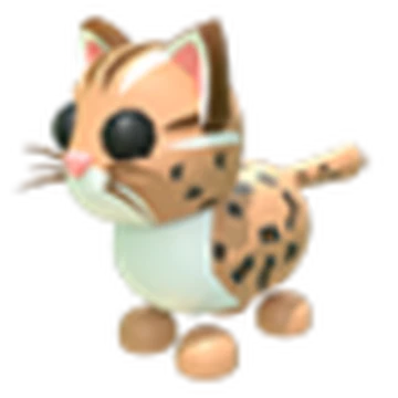 Leopard Cat