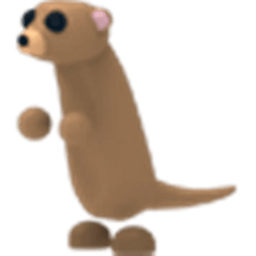 MFR Meerkat