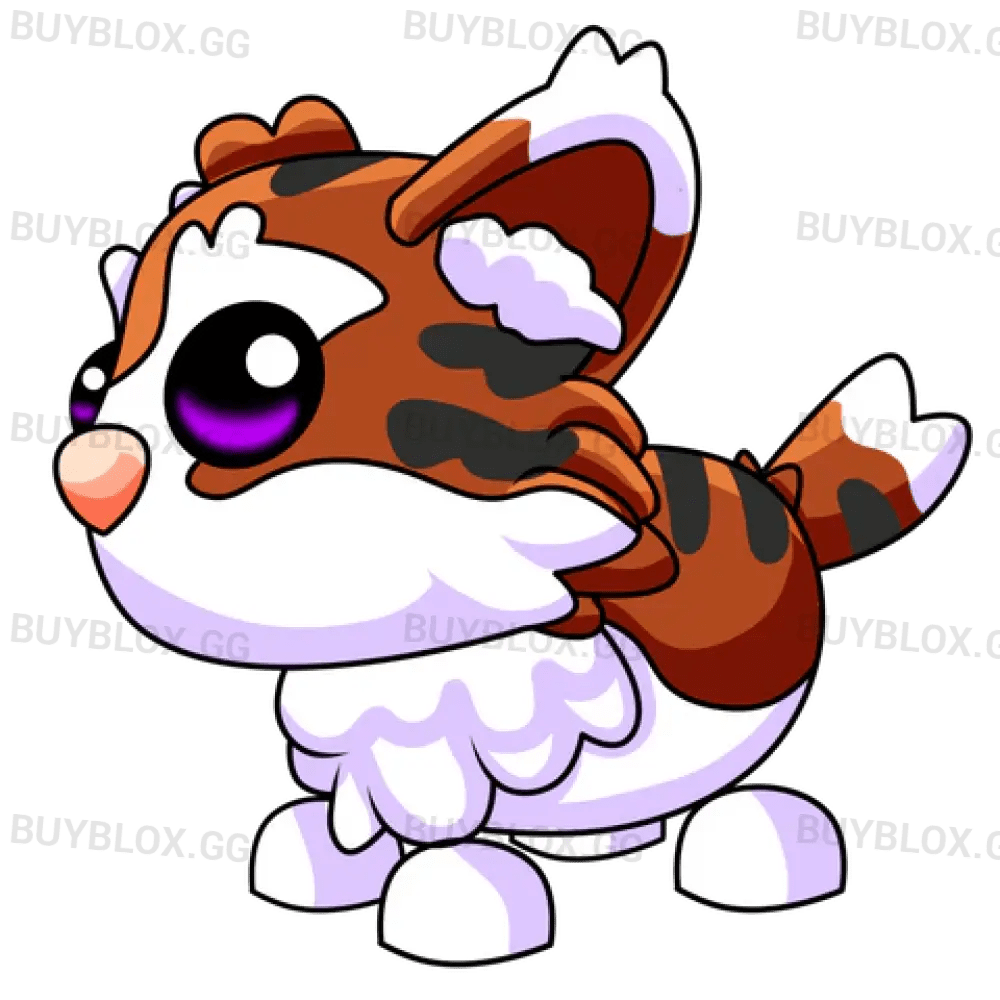 MFR Munchkin Cat