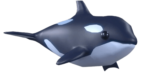 NFR Orca