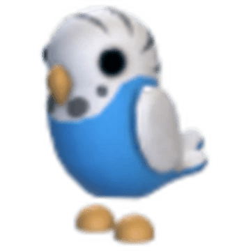Parakeet
