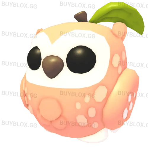 MFR Peach Owl