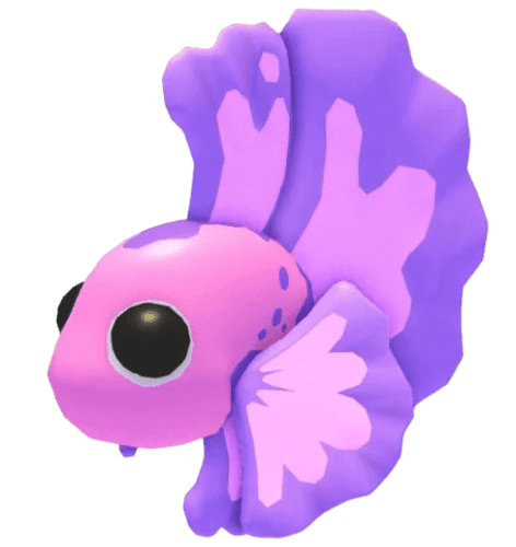 MFR Pink Betta Fish