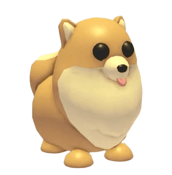MFR Pomeranian