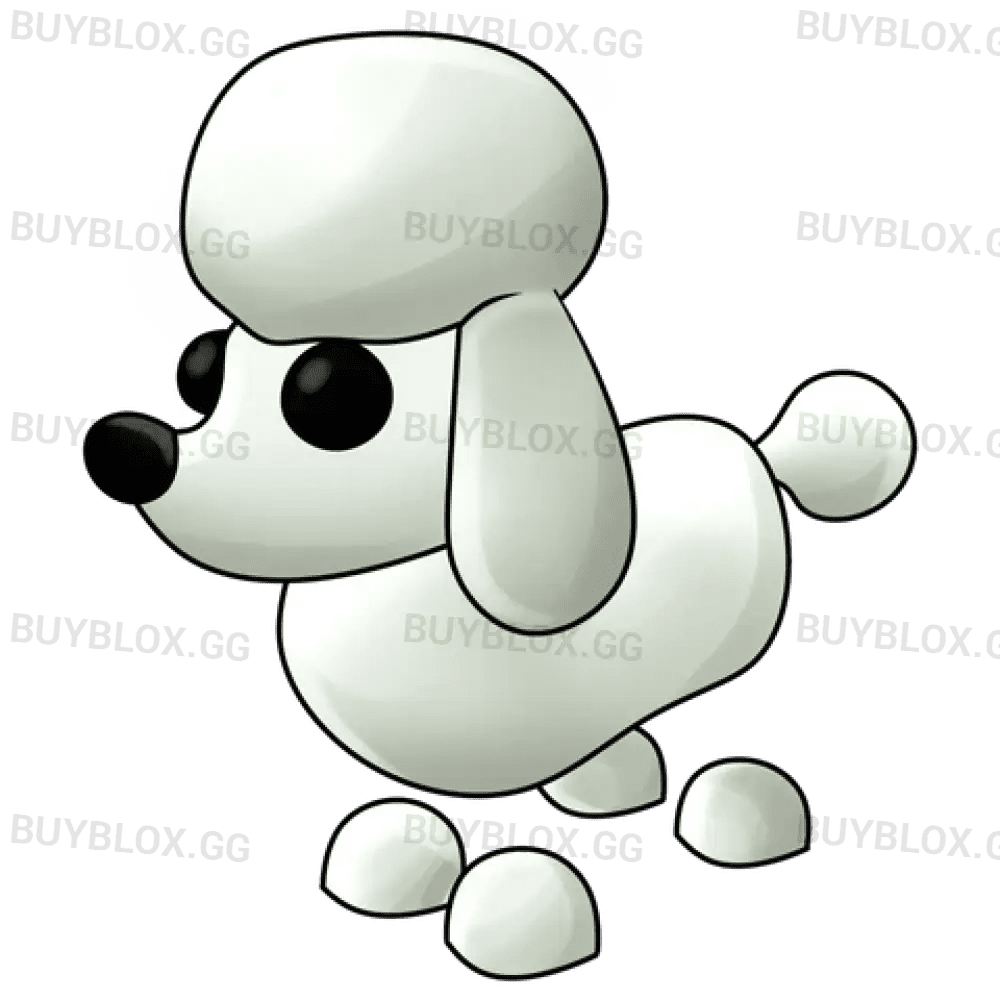 NFR Poodle