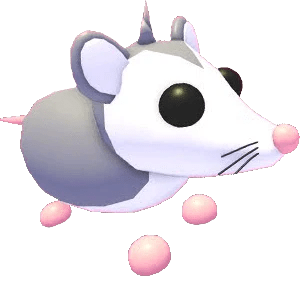 MFR Possum - Adopt Me