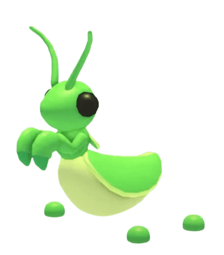 MFR Praying Mantis