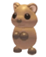 MFR Quokka