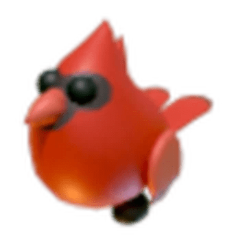 Red Cardinal
