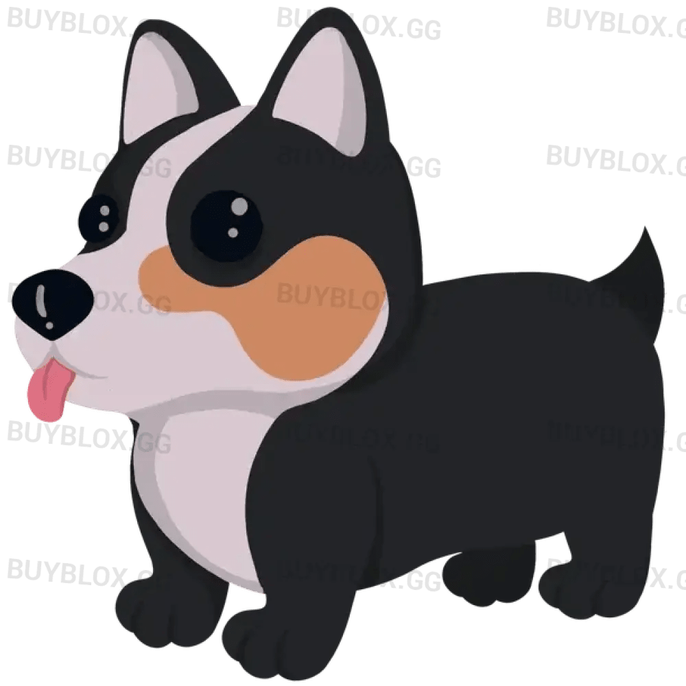MFR Royal Corgi