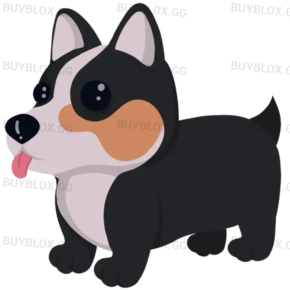 MFR Royal Corgi