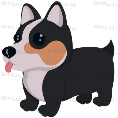 MFR Royal Corgi
