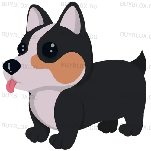 MFR Royal Corgi