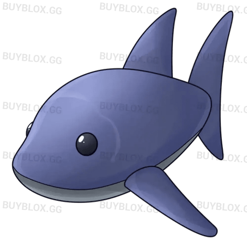 MFR Shark