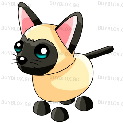 MFR Siamese Cat