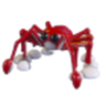 Spider Crab