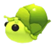 MFR Sprout Snail