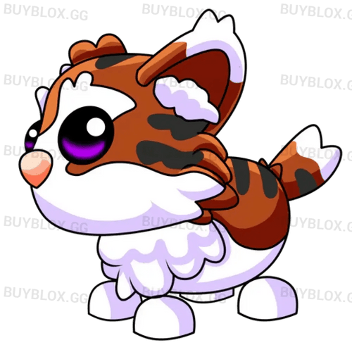 Munchkin Cat