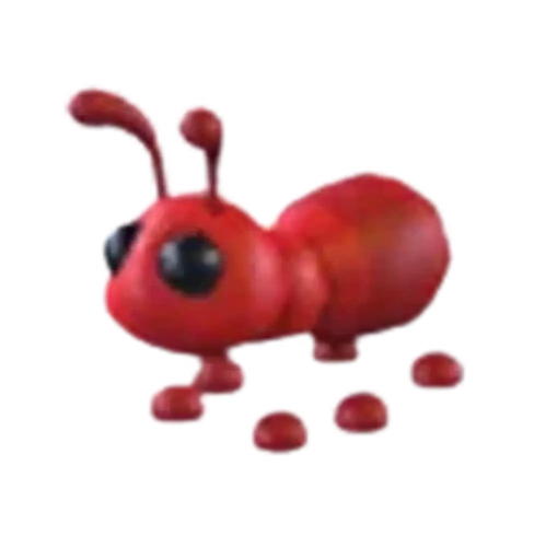 NFR Ant