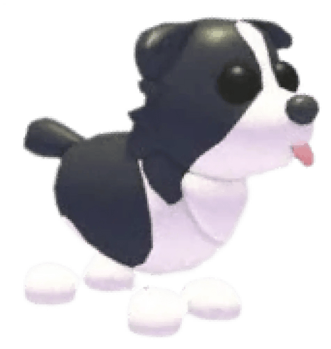 NFR Border Collie