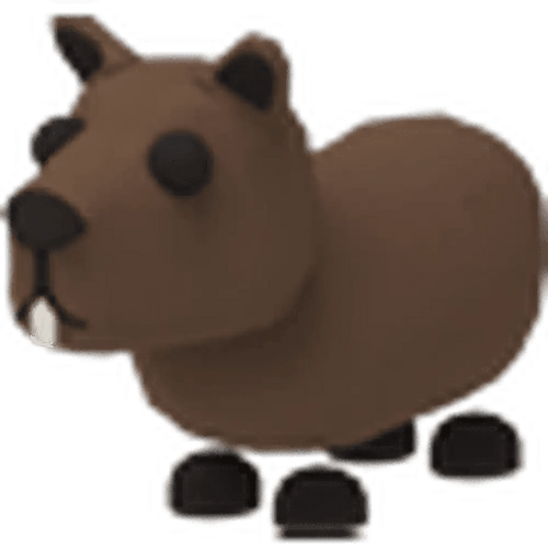 NFR Capybara
