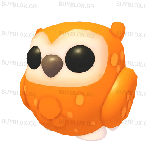 NFR Clementine Owl