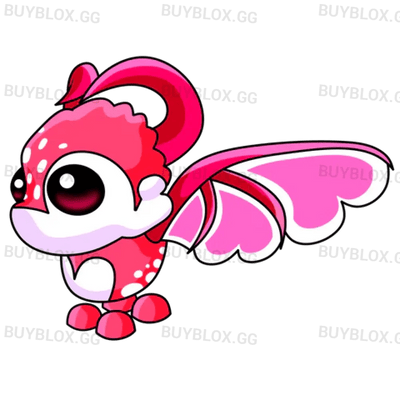 NFR Cupid Dragon