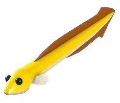 NFR Eel