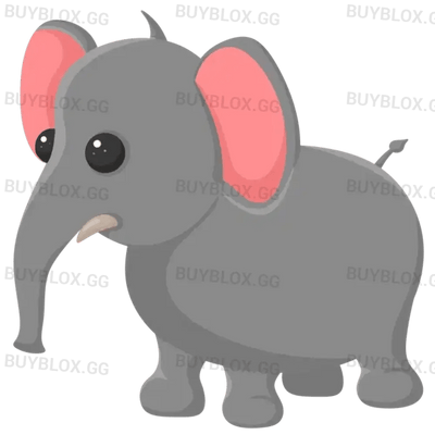 NFR Elephant
