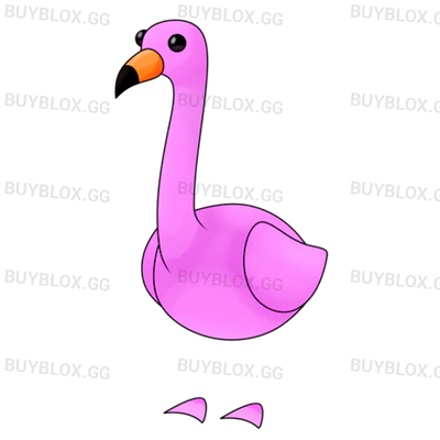 NFR Flamingo