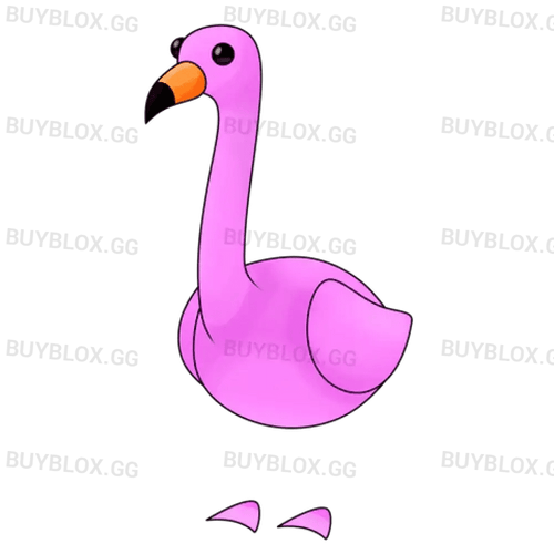 NFR Flamingo