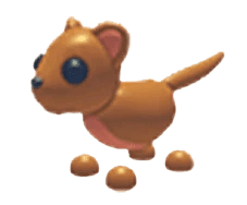 NFR Fossa
