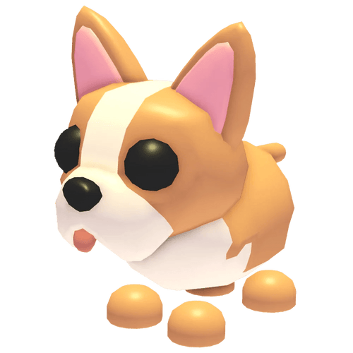 NFR French Bulldog