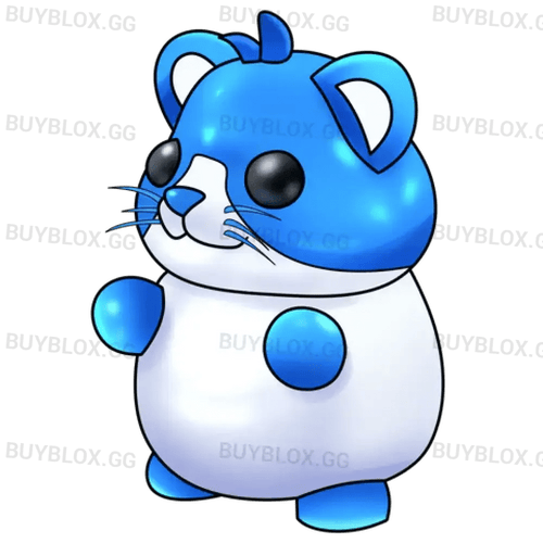 NFR Hamster