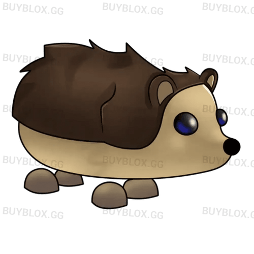 NFR Hedgehog