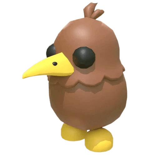 NFR Kiwi