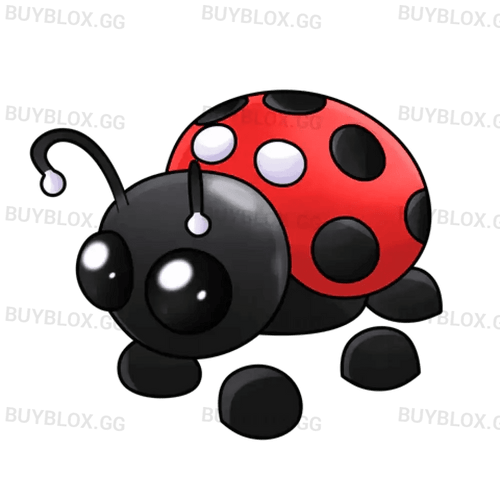 NFR Ladybug