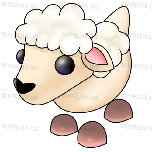 NFR Lamb