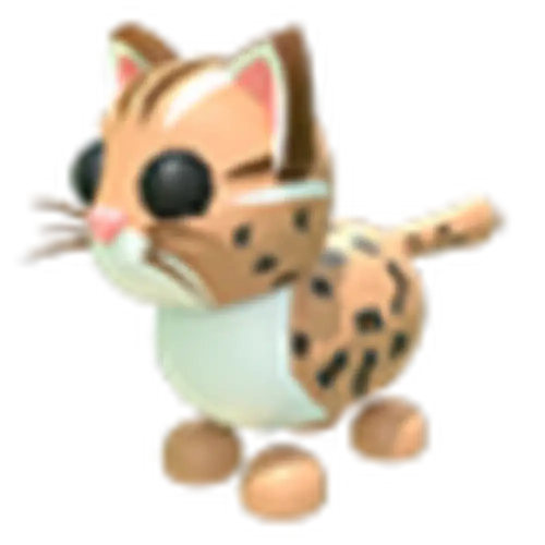 NFR Leopard Cat