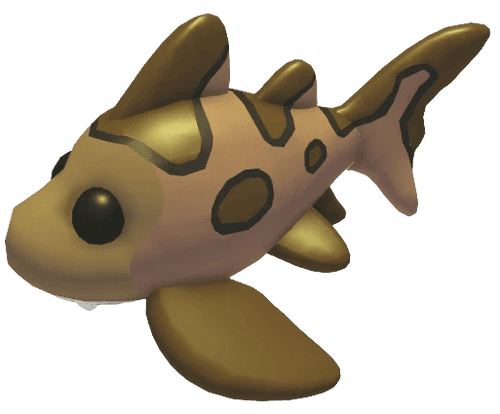 NFR Leopard Shark