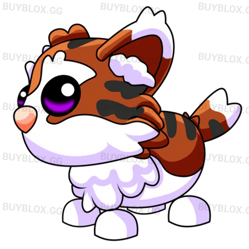 NFR Munchkin Cat