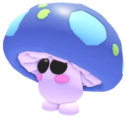 NFR Mushroom Friend