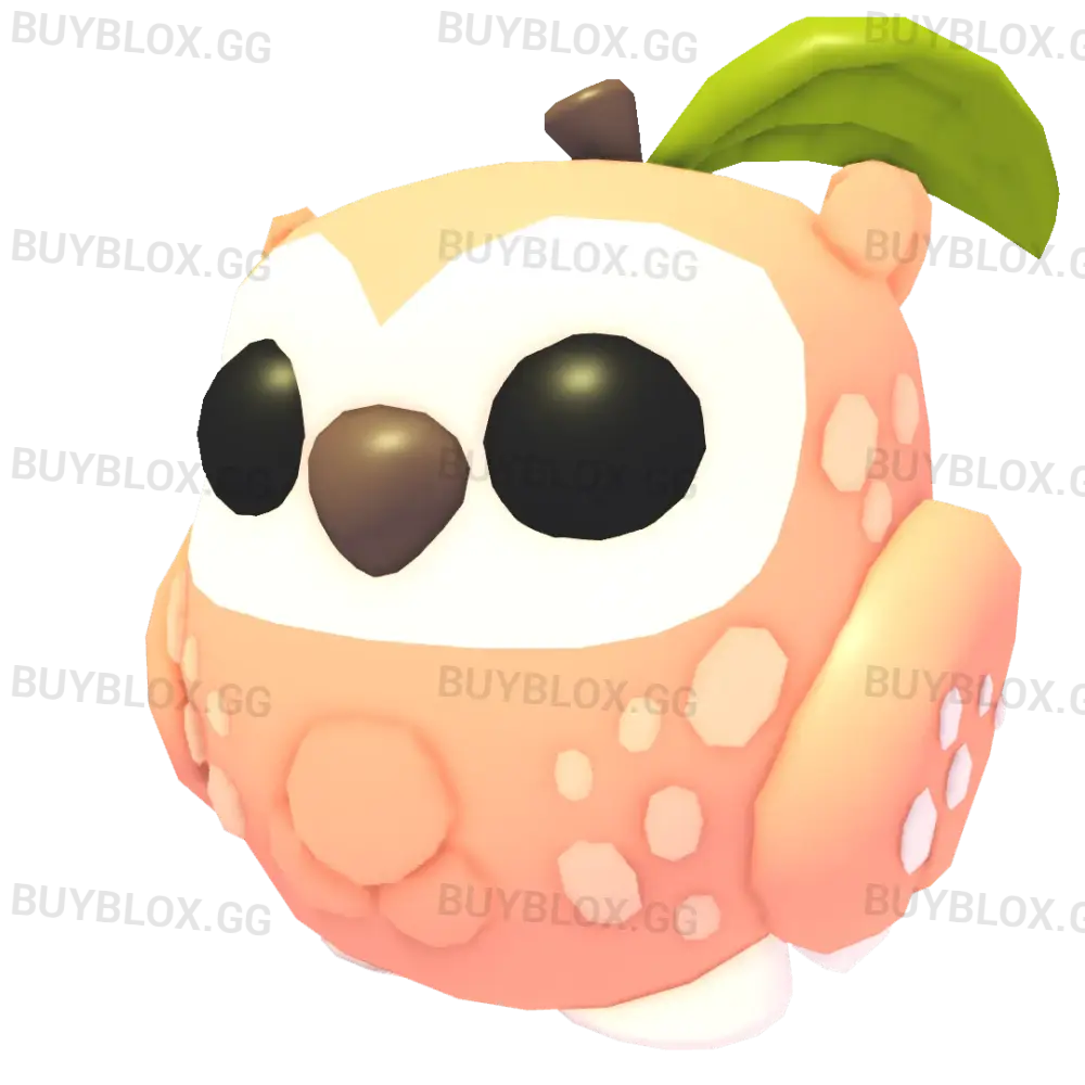NFR Peach Owl