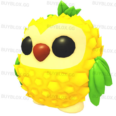 NFR Pineapple Owl